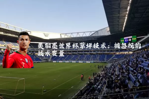 美加墨世界杯草坪技术：被忽视的战术变量